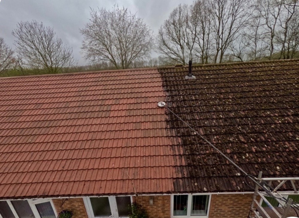 Roof half soft-washed, clean tiles beside moss-covered tiles